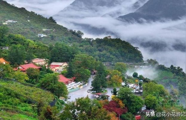 臨潼觀賞魚（臨潼觀賞魚、10臨潼特產）