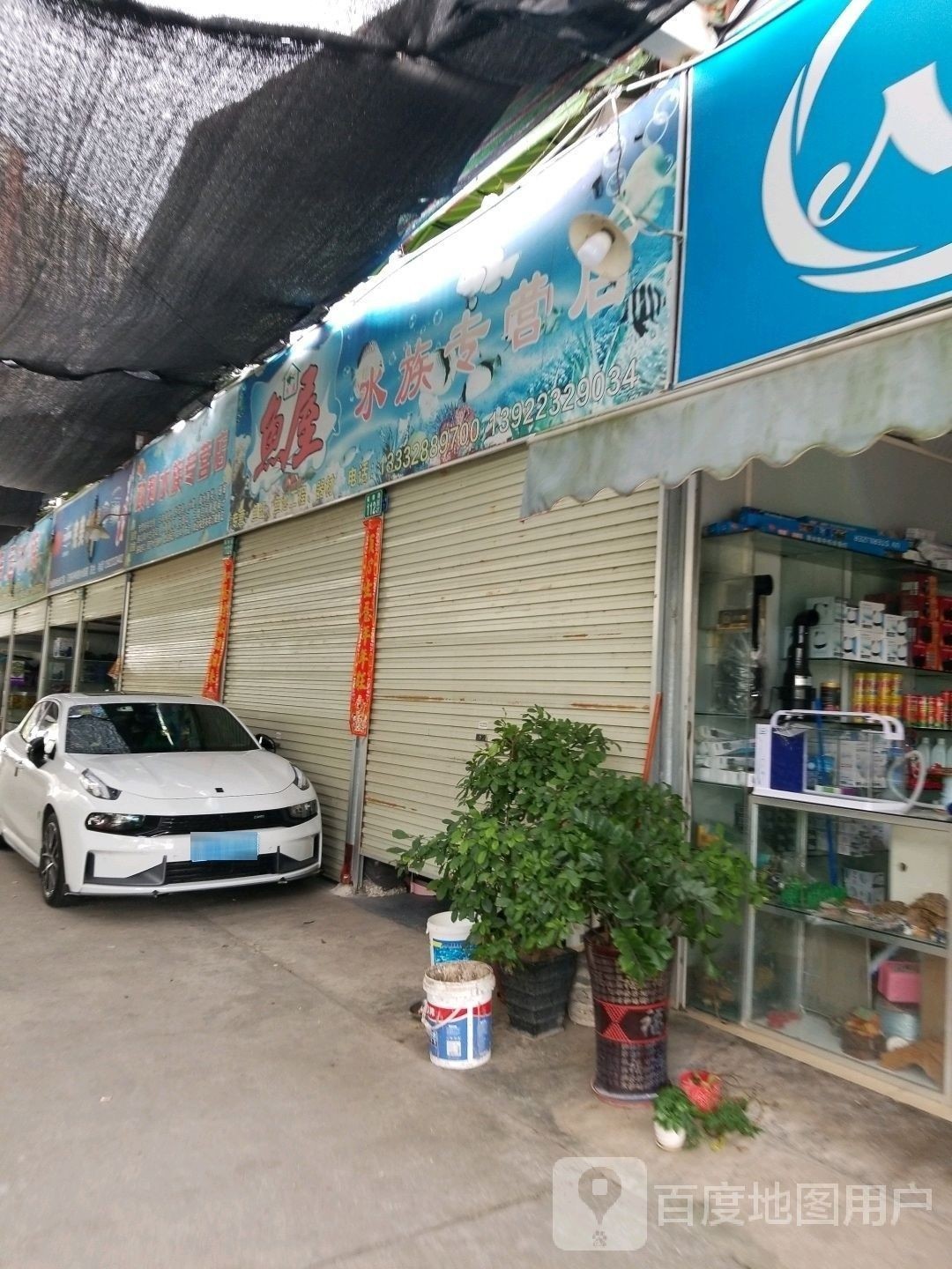 番禺龍魚觀賞魚店地址（廣州番禺龍魚觀賞魚店）