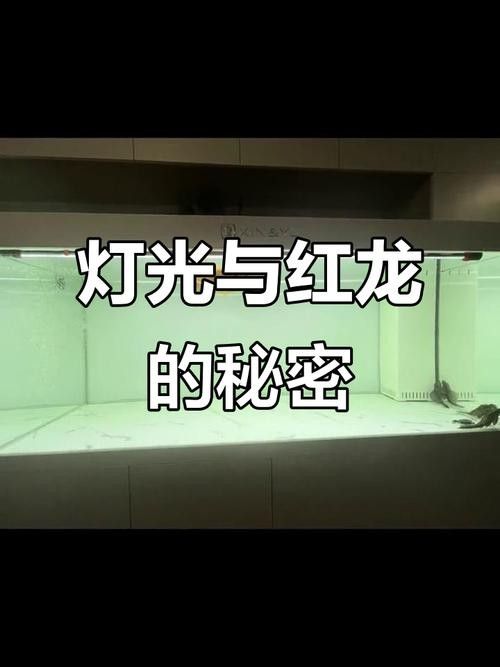 客廳魚缸擺放圖片欣賞，客廳金魚缸擺放圖片欣賞