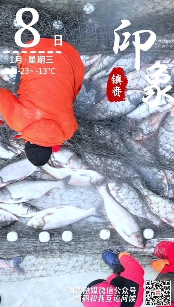 鎮賚哪個水族館龍魚好？祥龍魚場龍魚（廣州鎮賚縣水族館祥龍魚場以其優質的龍魚而聞名）