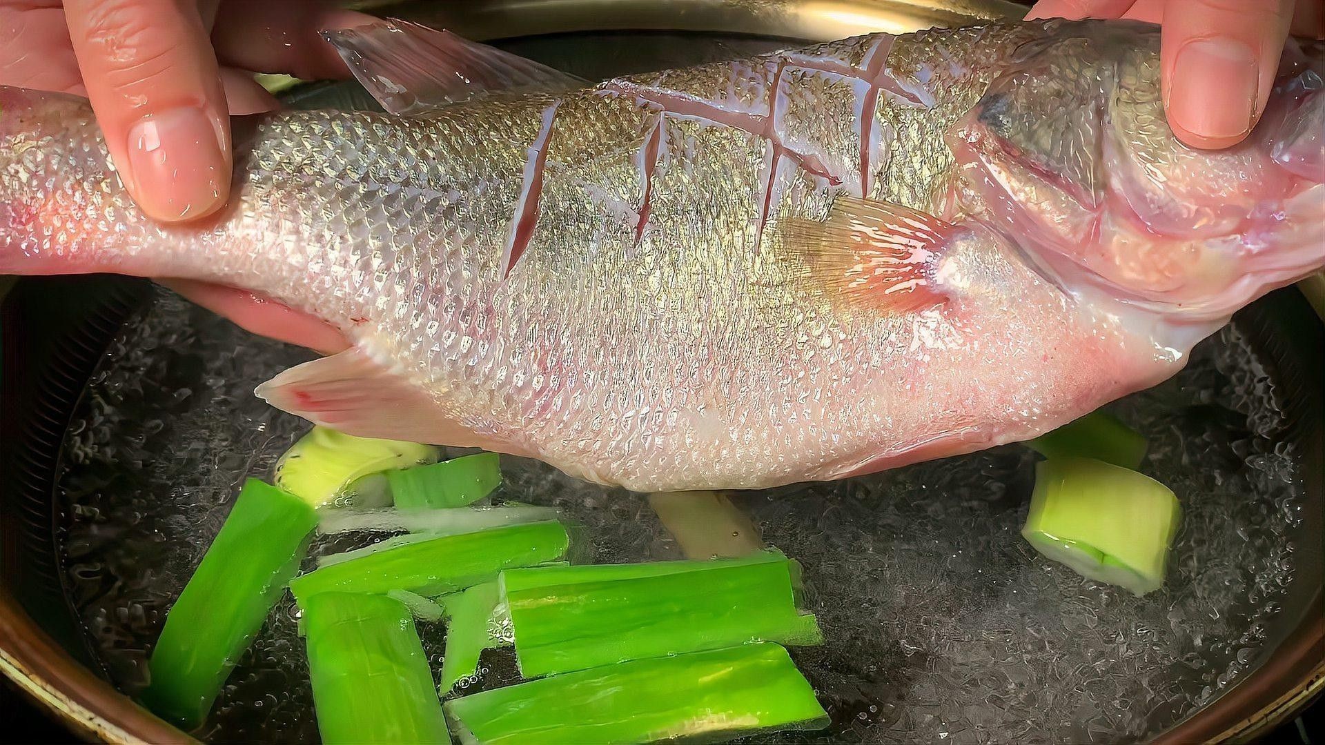 如何處理小白龍魚的腥味（小白龍魚的腥味從何而來揭秘三甲胺的秘密琪寶de熊巢）
