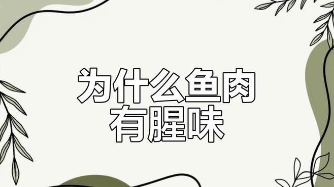 如何處理小白龍魚的腥味（小白龍魚的腥味從何而來揭秘三甲胺的秘密琪寶de熊巢）
