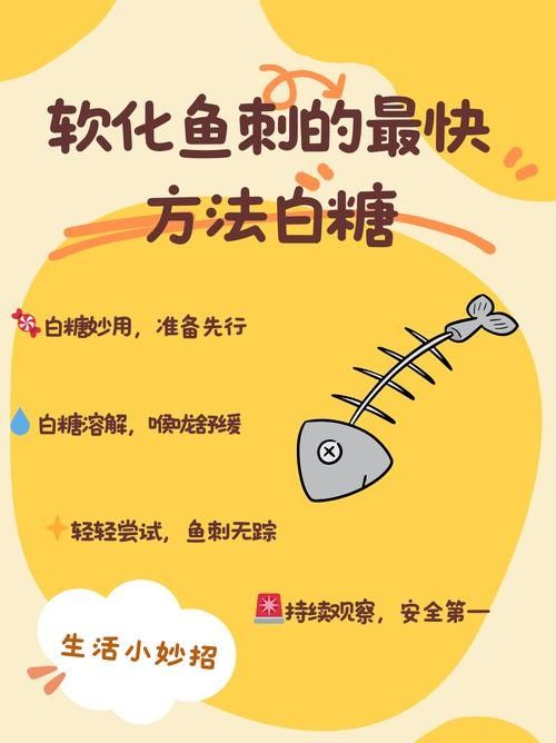 如何處理小白龍魚的腥味（小白龍魚的腥味從何而來揭秘三甲胺的秘密琪寶de熊巢）