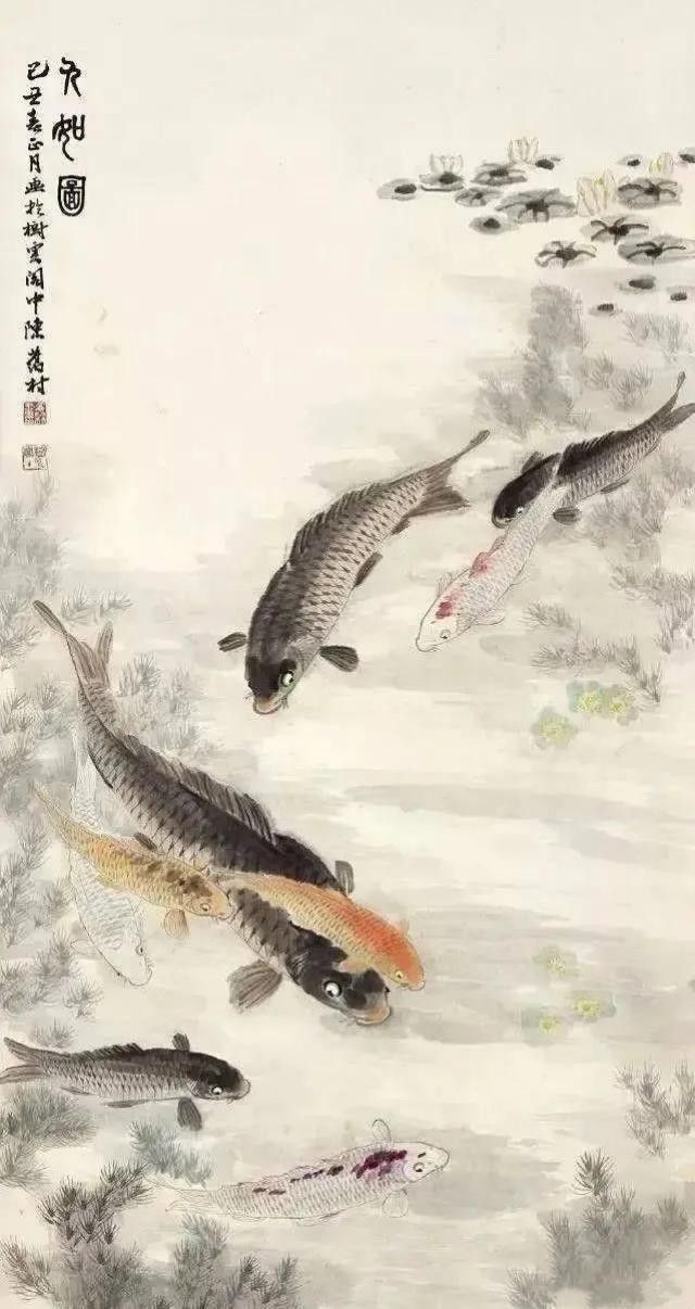 養紅龍魚缸最低標準，1.5米缸能養紅龍嗎