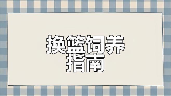 藍寶石龍魚成魚價格是多少（藍寶石龍魚的價格） 藍寶石龍魚成魚價格是多少（藍寶石龍魚的價格） 龍魚百科 第1張