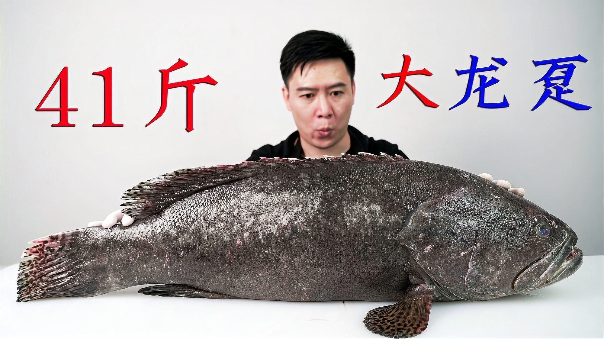 龍躉魚生怎么做才好吃？（清蒸龍躉肉,鮮美又脆嫩,家常做法超簡(jiǎn)單）