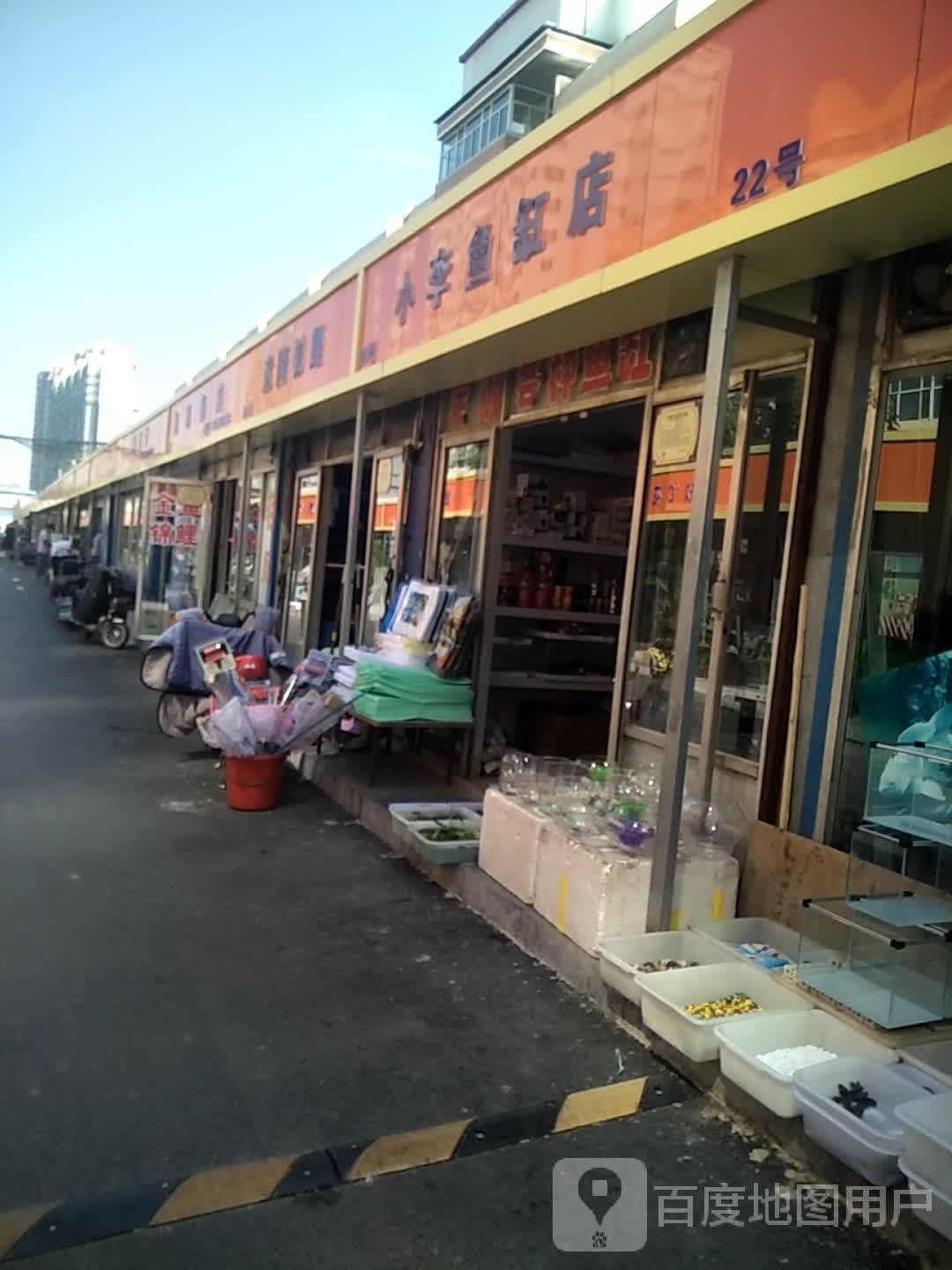 迎澤哪個水族館龍魚好？祥龍魚場龍魚（太原市迎澤區祥龍魚場）