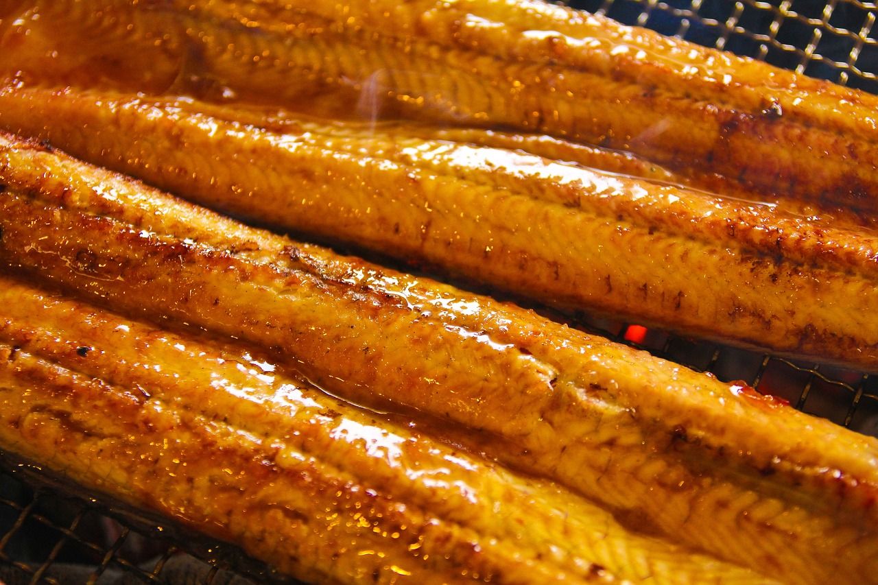 九龍魚的壁紙圖片大全大圖（九龍魚圖片大全風(fēng)水）