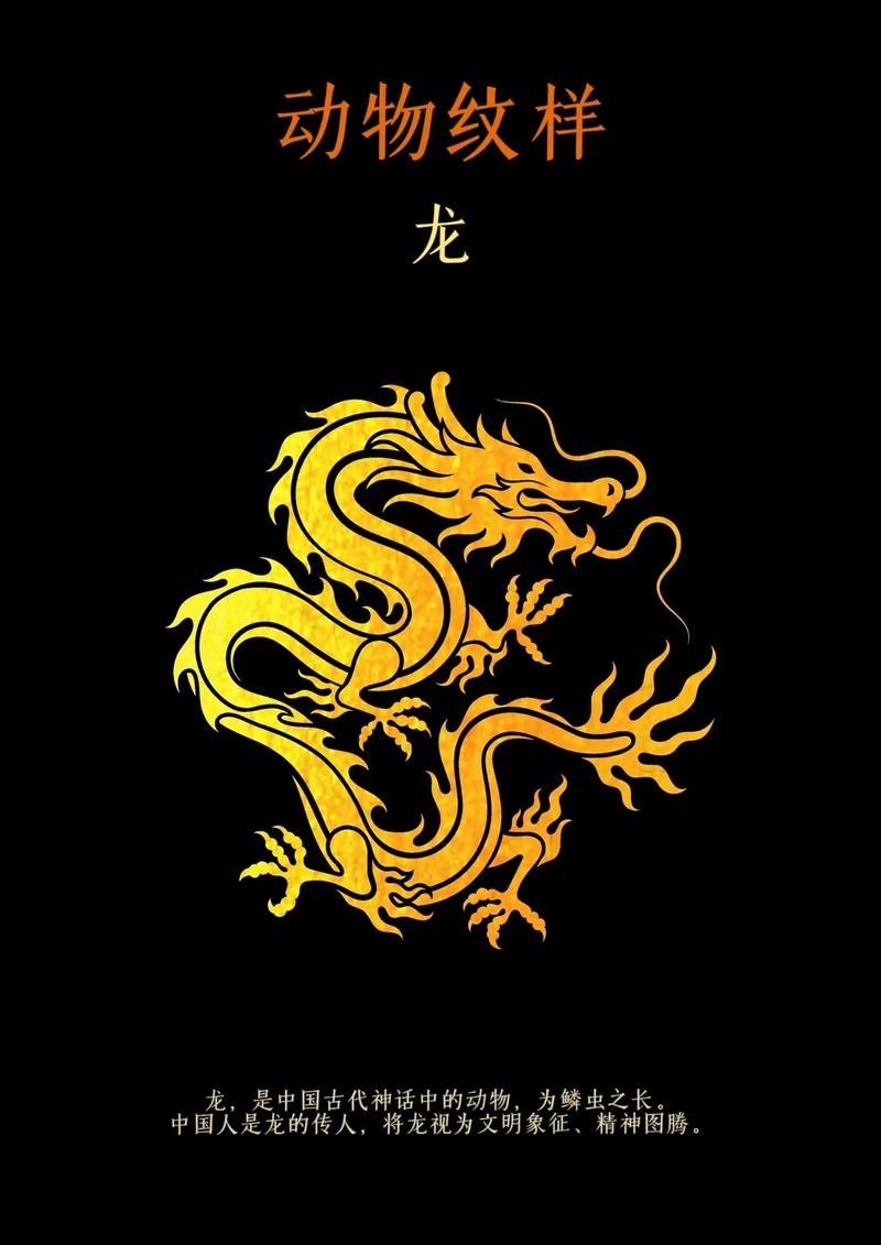 徐州專業(yè)做魚缸的公司有哪些家(徐州哪里有賣金魚缸的)（徐州專業(yè)做魚缸公司有哪些家徐州專業(yè)做魚缸的公司有哪些家）