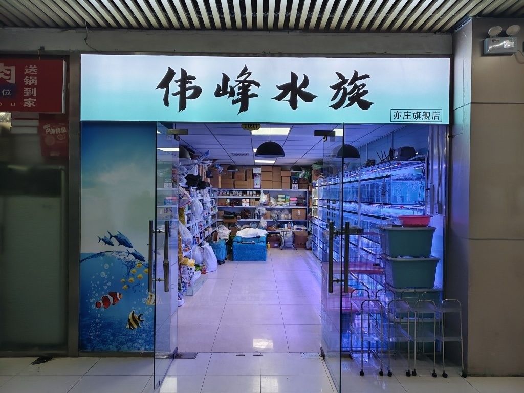 易門哪個(gè)水族館龍魚好？祥龍魚場(chǎng)龍魚（北京水族館祥龍魚場(chǎng)） 易門哪個(gè)水族館龍魚好？祥龍魚場(chǎng)龍魚（北京水族館祥龍魚場(chǎng)） 龍魚百科 第9張