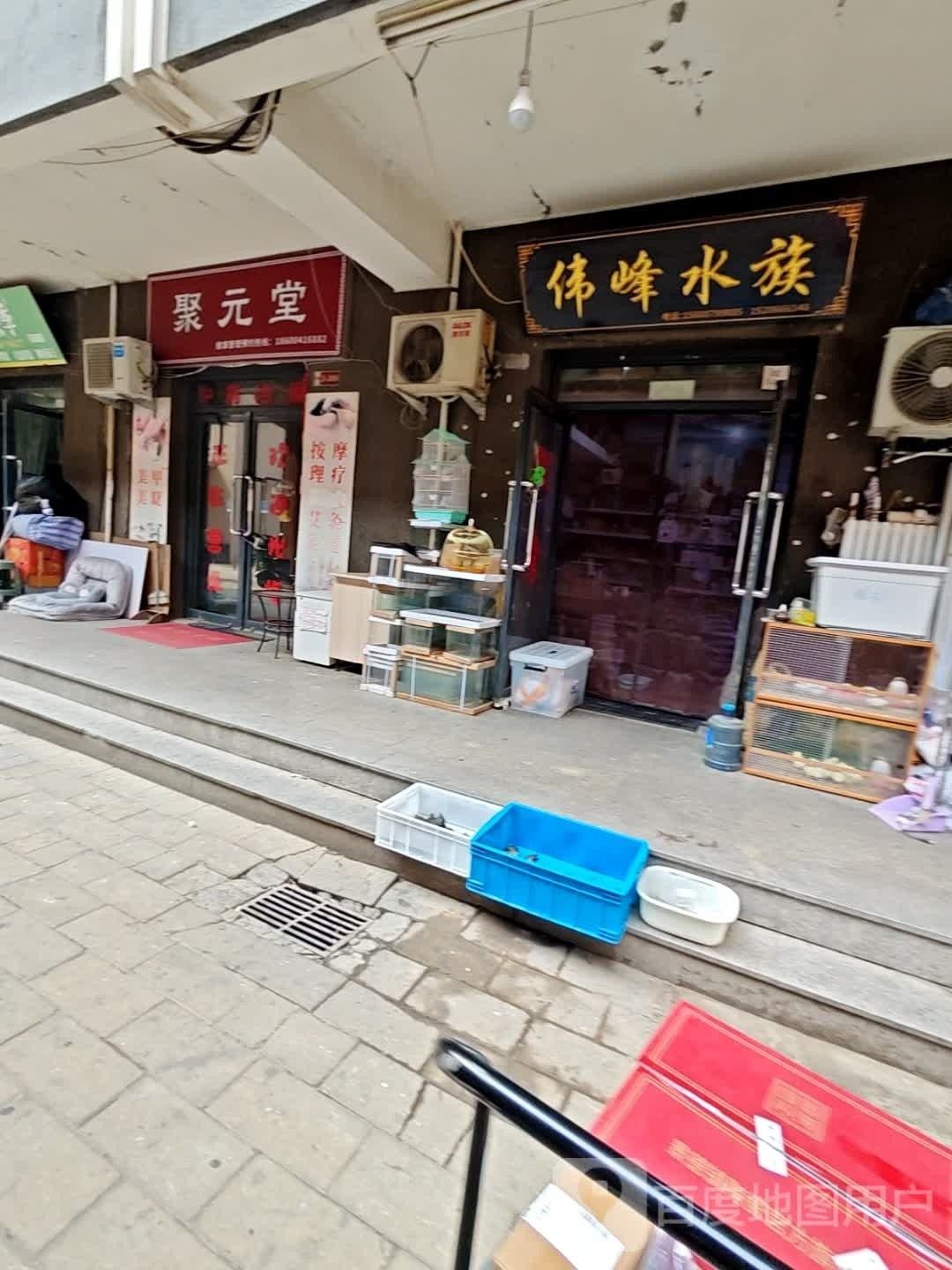 易門哪個(gè)水族館龍魚好？祥龍魚場(chǎng)龍魚（北京水族館祥龍魚場(chǎng)） 易門哪個(gè)水族館龍魚好？祥龍魚場(chǎng)龍魚（北京水族館祥龍魚場(chǎng)） 龍魚百科 第8張