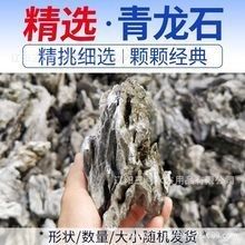 龍魚缸造景需要哪些材料和工具（魚缸造景工具排行榜京東小雷龍造景缸制作全攻略）