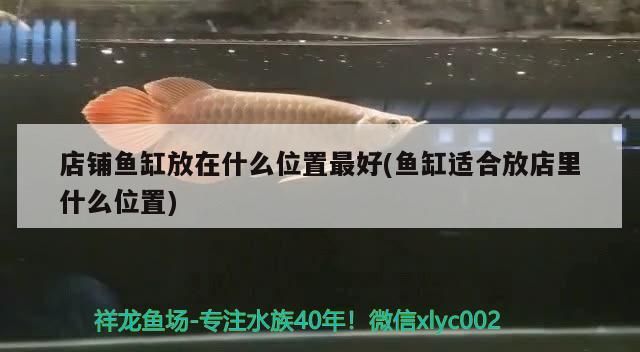店鋪魚缸放在什么位置最好(魚缸適合放店里什么位置)（店鋪魚缸放在什么位置最好） 店鋪魚缸放在什么位置最好(魚缸適合放店里什么位置)（店鋪魚缸放在什么位置最好） 觀賞魚百科