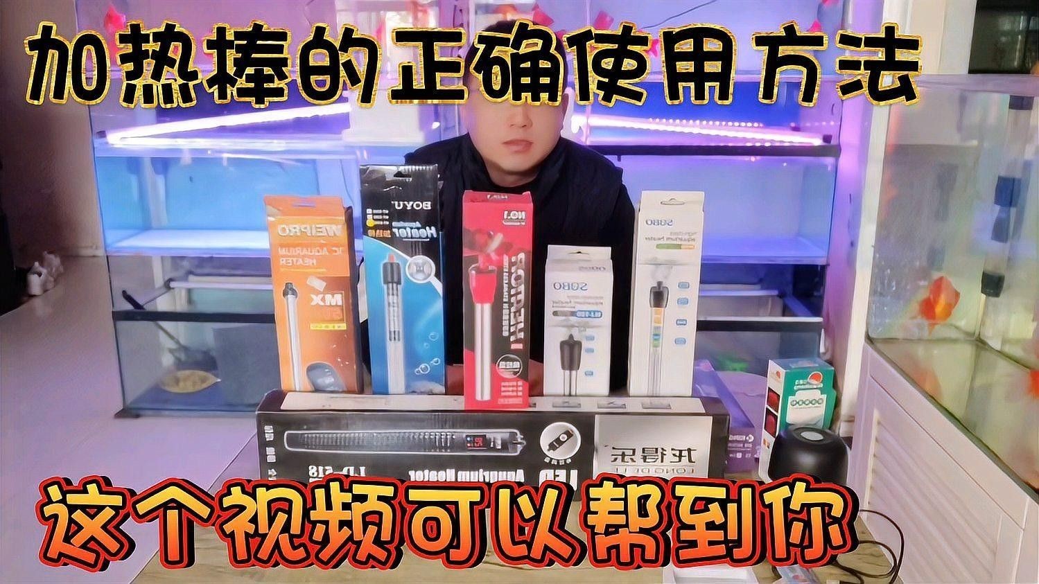 如何安裝和使用加熱棒？（琪琪生活小常識魚缸加熱棒安裝與使用指南冬天的秘密）