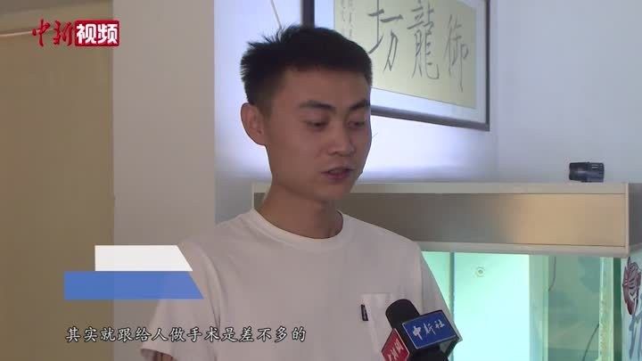 龍魚兜嘴能完全矯正嗎（龍魚兜嘴是否能夠完全矯正？）