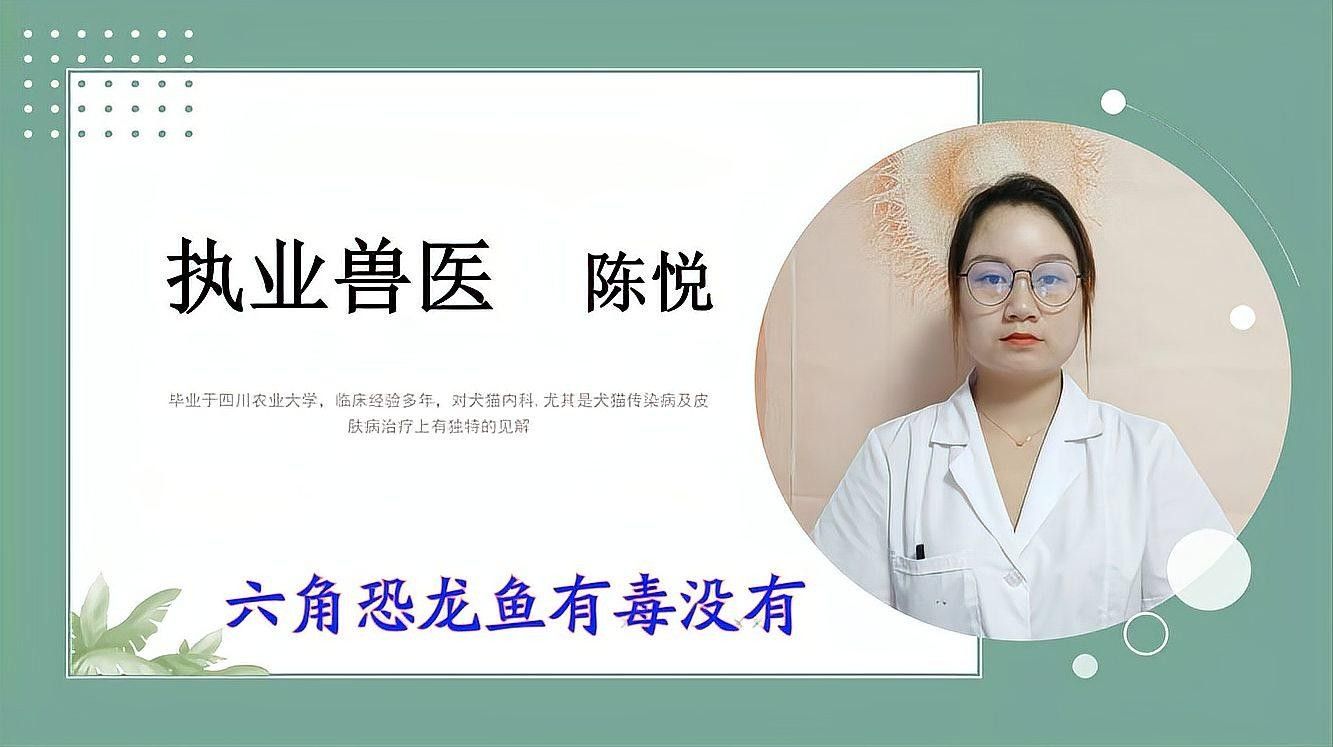 六角龍魚吃什么水果好（六角龍魚吃什么水果） 六角龍魚吃什么水果好（六角龍魚吃什么水果） 龍魚百科 第2張