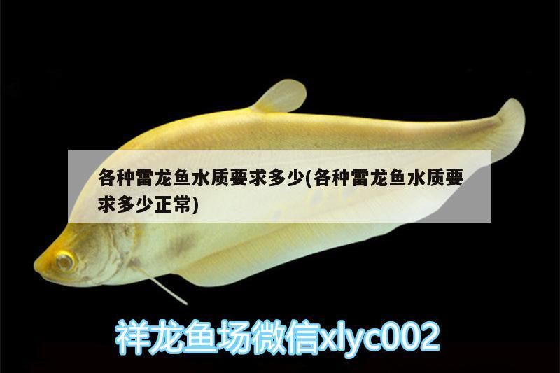 各種雷龍魚水質要求多少(各種雷龍魚水質要求多少正常)（各種雷龍魚水質要求多少）