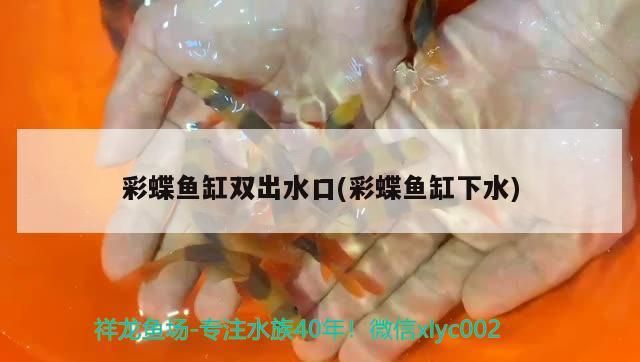 彩蝶魚缸雙出水口(彩蝶魚缸下水)（彩蝶魚缸雙出水口怎么設計？） 彩蝶魚缸雙出水口(彩蝶魚缸下水)（彩蝶魚缸雙出水口怎么設計？） 觀賞魚百科