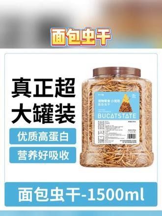 龍魚不吃面包蟲干怎么辦