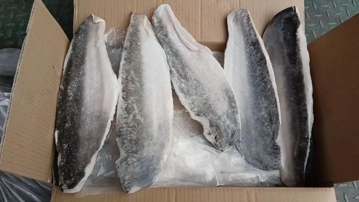 如何區分龍利魚和巴沙魚？（如何區分龍利魚和巴沙魚） 如何區分龍利魚和巴沙魚？（如何區分龍利魚和巴沙魚） 龍魚百科 第4張
