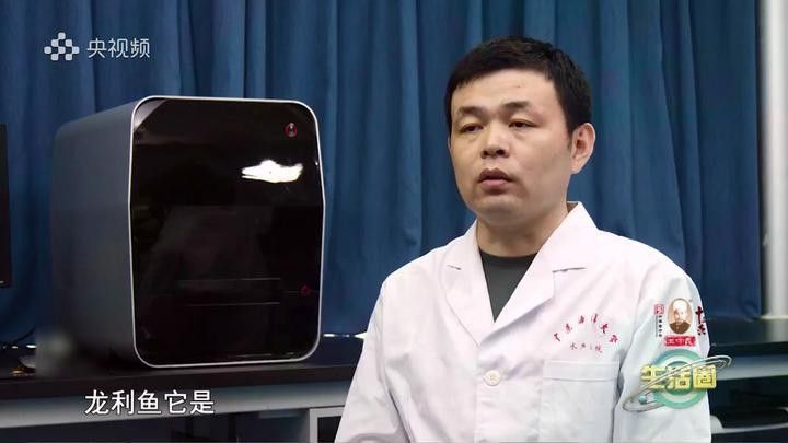 如何區分龍利魚和巴沙魚？（如何區分龍利魚和巴沙魚） 如何區分龍利魚和巴沙魚？（如何區分龍利魚和巴沙魚） 龍魚百科 第8張
