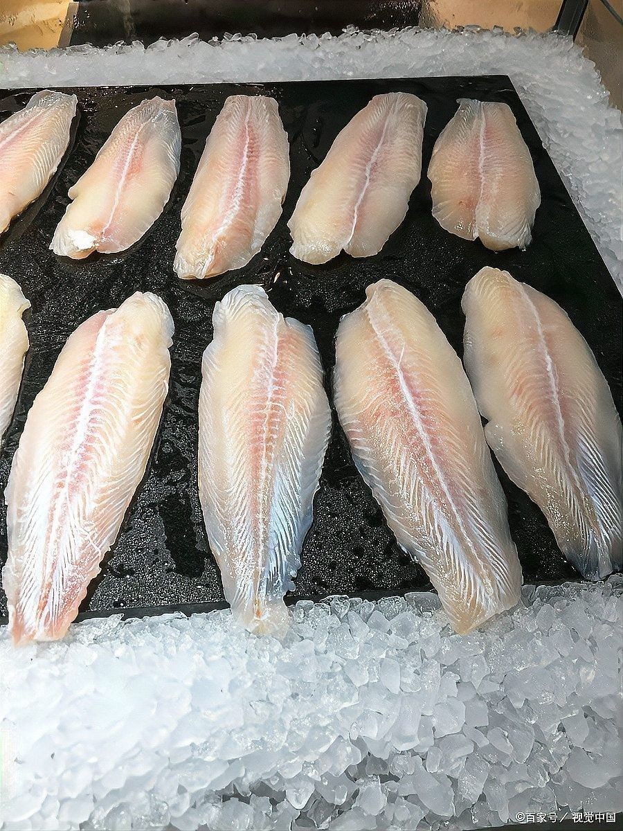 如何區分龍利魚和巴沙魚？（如何區分龍利魚和巴沙魚） 如何區分龍利魚和巴沙魚？（如何區分龍利魚和巴沙魚） 龍魚百科 第12張