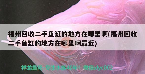 有哪些風(fēng)水魚喂食禁忌，風(fēng)水魚喂食技巧，如何判斷風(fēng)水魚是否健康