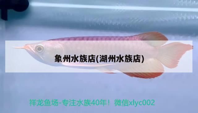 象州水族店(<strong><mark>湖州</mark></strong>水族店)（上海象州水族店)，象州水族店)，<strong><mark>湖州</mark></strong>水族店）