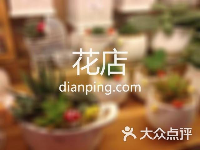 鄖西哪個水族館龍魚好？祥龍魚場龍魚（鄖西哪個水族館龍魚好祥龍魚場龍魚養殖技巧與注意事項）