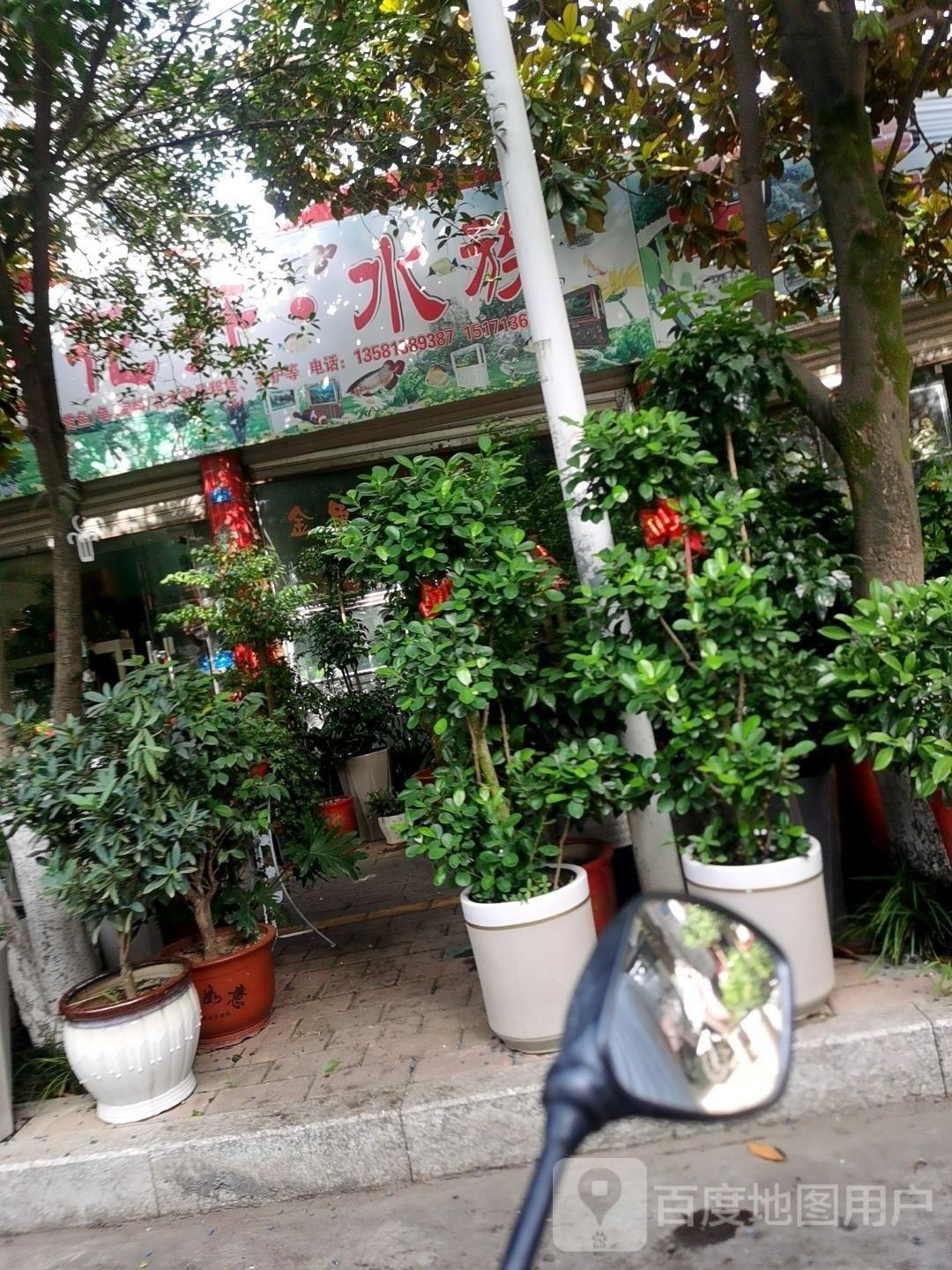 鄖西哪個水族館龍魚好？祥龍魚場龍魚（鄖西哪個水族館龍魚好祥龍魚場龍魚養殖技巧與注意事項）