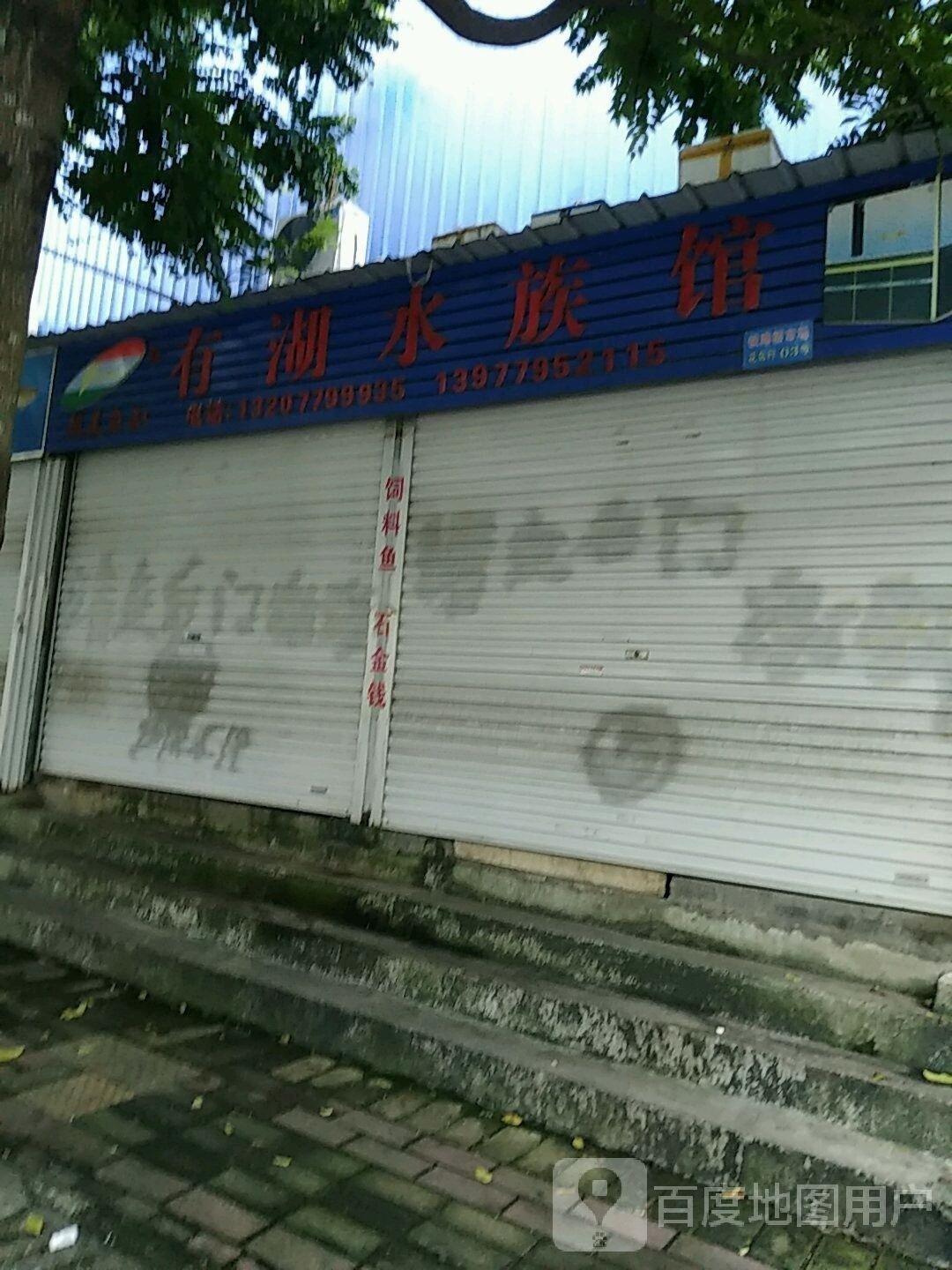 北海哪個(gè)水族館龍魚好？祥龍魚場(chǎng)龍魚（北海市祥龍魚場(chǎng)水族館）