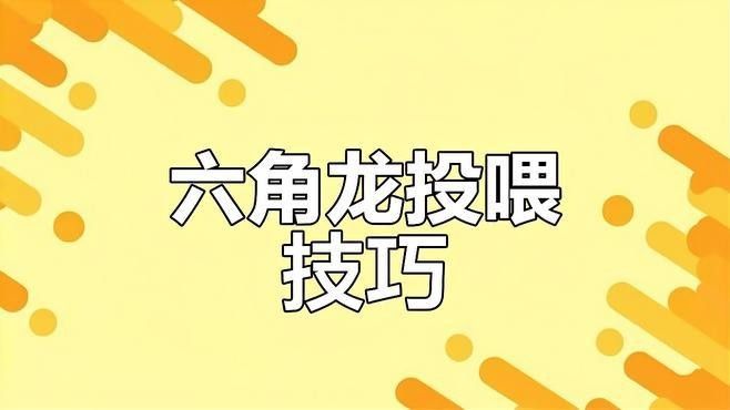 如何訓(xùn)練六角恐龍魚吃飼料（六角恐龍魚不吃飼料怎么辦）