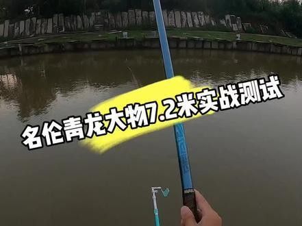 青龍魚線的用戶評(píng)價(jià)如何（奧洛普德國(guó)進(jìn)口原絲青龍臺(tái)釣漁線） 青龍魚線的用戶評(píng)價(jià)如何（奧洛普德國(guó)進(jìn)口原絲青龍臺(tái)釣漁線） 龍魚百科 第10張