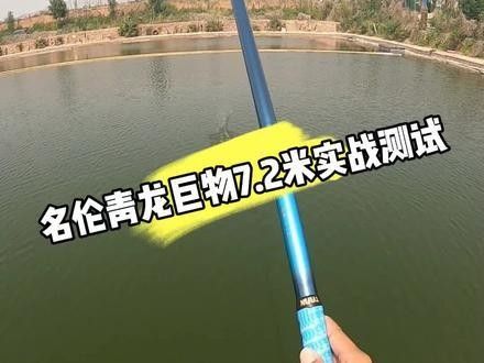 青龍魚線的用戶評(píng)價(jià)如何（奧洛普德國(guó)進(jìn)口原絲青龍臺(tái)釣漁線） 青龍魚線的用戶評(píng)價(jià)如何（奧洛普德國(guó)進(jìn)口原絲青龍臺(tái)釣漁線） 龍魚百科 第9張