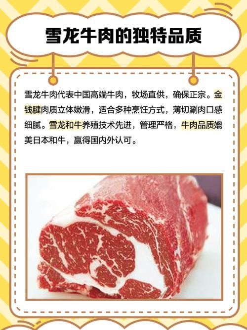 介紹一下雪龍牛肉品牌（雪龍牛肉品牌是一家專注于提供高品質(zhì)牛肉產(chǎn)品的企業(yè)）