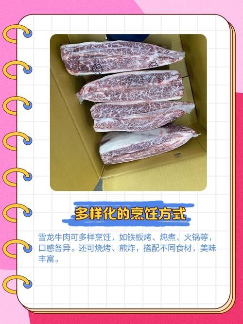 介紹一下雪龍牛肉品牌（雪龍牛肉品牌是一家專注于提供高品質(zhì)牛肉產(chǎn)品的企業(yè)）