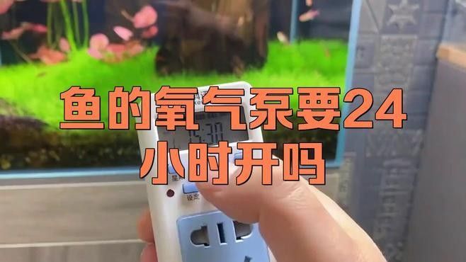龍魚打氧需要24小時嗎？（龍魚打氧需要持續24小時嗎）