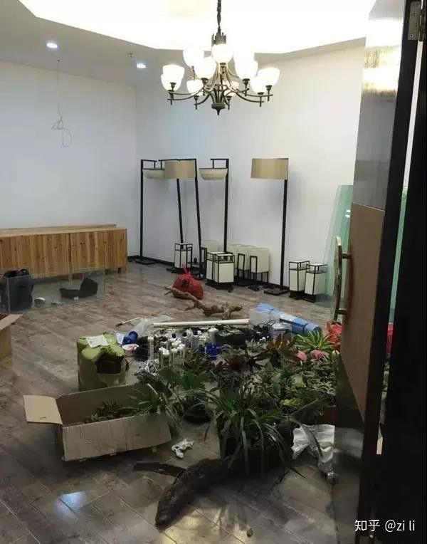龍滇App如何下載？