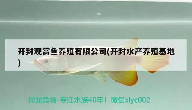 開封觀賞魚養殖有限公司(開封水產養殖) 開封觀賞魚養殖有限公司(開封水產養殖) 觀賞魚百科