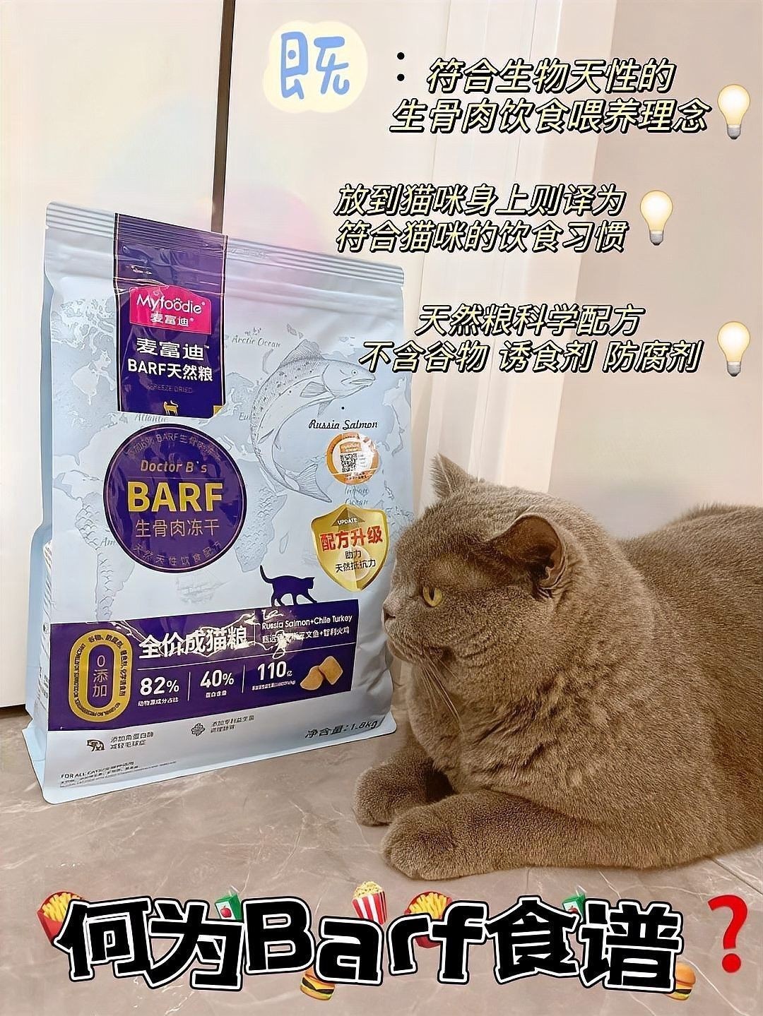 龍貓被貓嚇到會自愈嗎？（龍貓被貓嚇到會自愈嗎） 龍貓被貓嚇到會自愈嗎？（龍貓被貓嚇到會自愈嗎） 龍魚百科 第6張