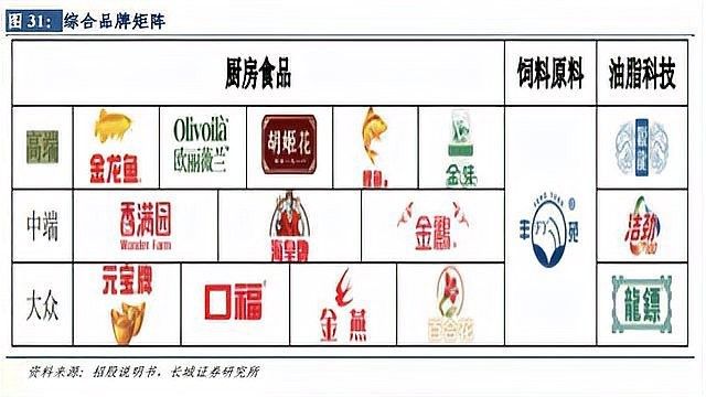 睢縣金龍魚屬于什么檔次（睢縣金龍魚在睢縣有哪些促銷活動睢縣有哪些銷售渠道） 睢縣金龍魚屬于什么檔次（睢縣金龍魚在睢縣有哪些促銷活動睢縣有哪些銷售渠道） 觀賞魚百科 第4張