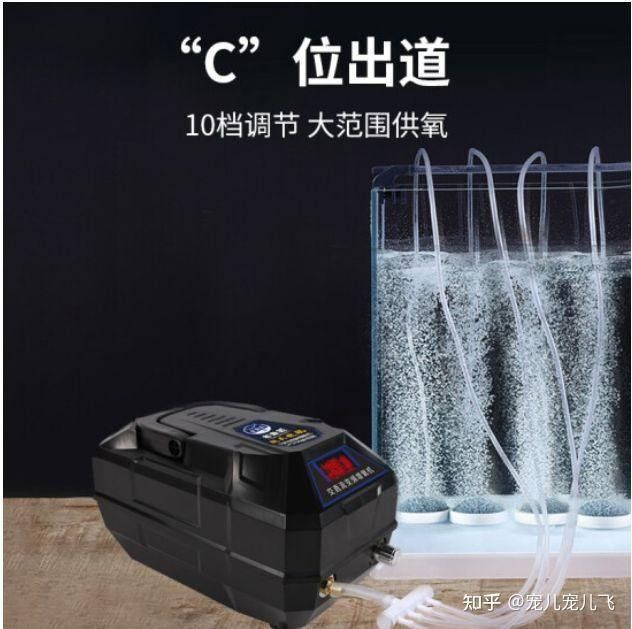 六角龍魚增氧設備如何選擇