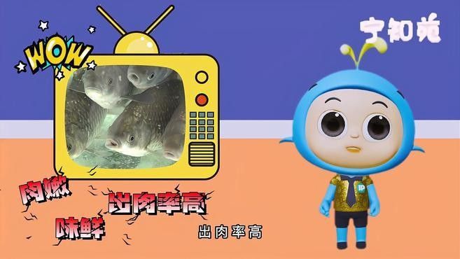 南京特色魚（南京特色魚是南京特色魚，南京特色魚，南京特色魚館） 南京特色魚（南京特色魚是南京特色魚，南京特色魚，南京特色魚館） 觀賞魚百科 第1張