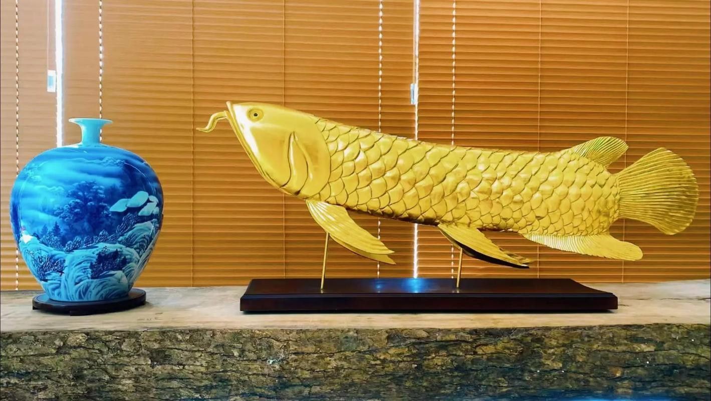 金龍魚珠鱗滿的標準是什么（金龍魚珠鱗滿的標準）