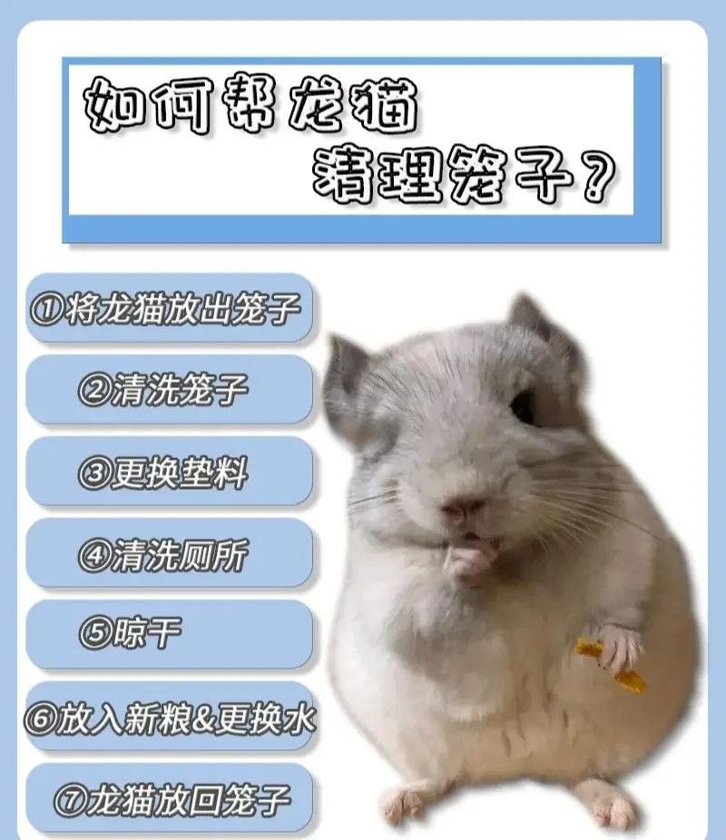 龍貓籠子清洗劑如何選擇