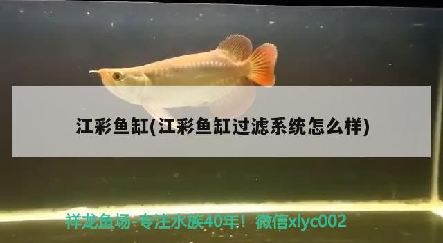 江彩魚缸(江彩魚缸過濾系統怎么樣)（江彩魚缸過濾系統怎么樣）