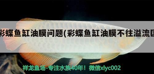 固原觀賞魚(yú)市場(chǎng)求大神幫忙給看看是什么問(wèn)題（固原觀賞魚(yú)市場(chǎng)存在的問(wèn)題）