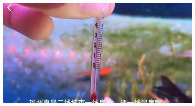 龍魚和一眉道人混養（能和一眉道人魚混養的魚）（混養龍魚和一眉道人的注意事項） 龍魚和一眉道人混養（能和一眉道人魚混養的魚）（混養龍魚和一眉道人的注意事項） 觀賞魚百科