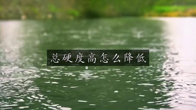 如何判斷魚缸總硬度是否合適（魚缸總硬度合適是維護(hù)水族環(huán)境健康的關(guān)鍵因素之一）