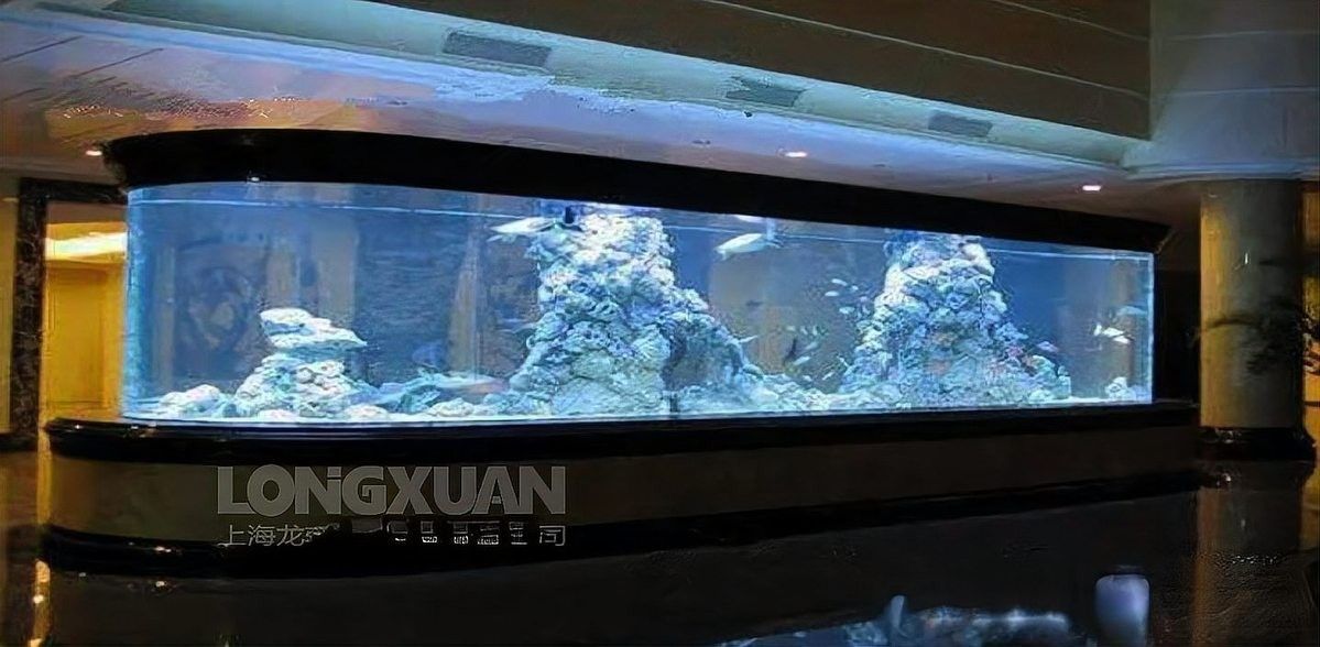 龍魚魚缸背景布更換教程